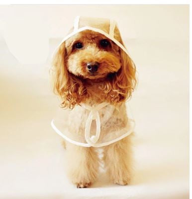 Hond Waterdichte Transparante Regenjas