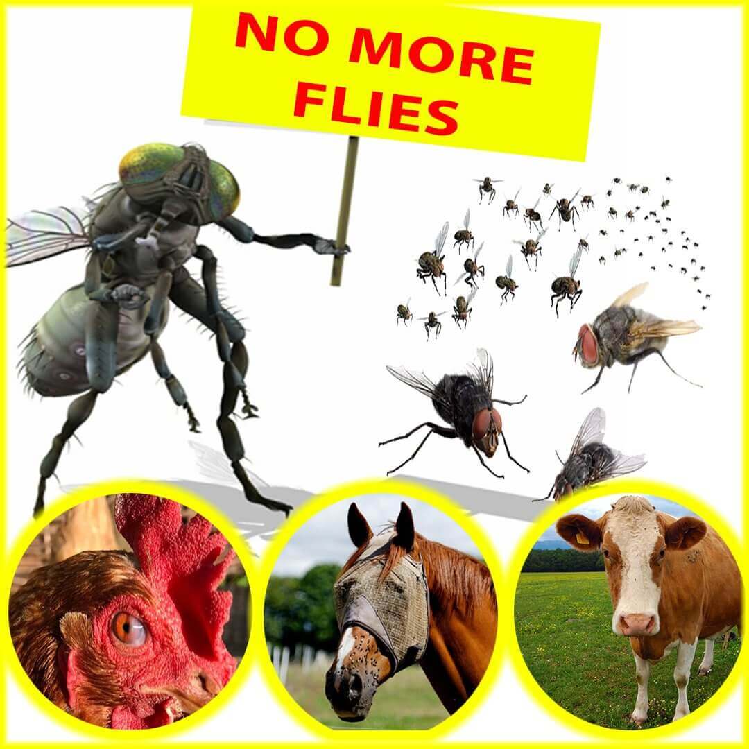 Herbruikbare Vliegenval