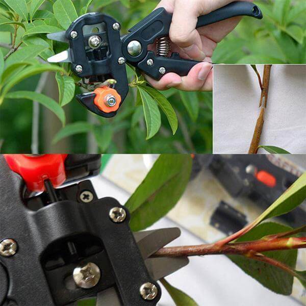 Tuin Enting Tool