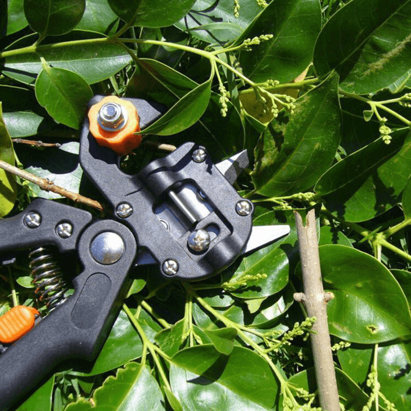 Tuin Enting Tool