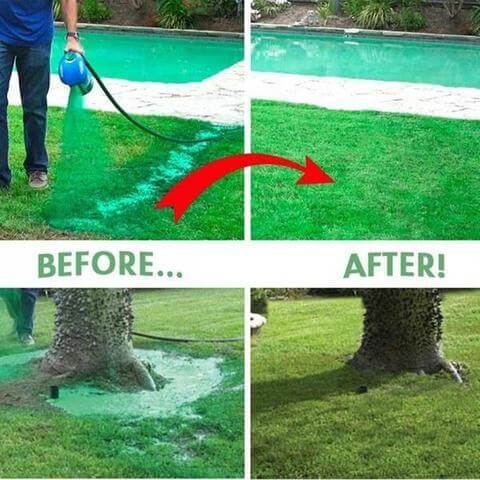 Groen Gras Gazon Spray