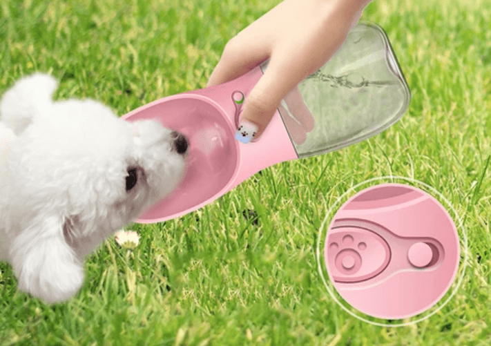 Outdoor Huisdier Waterfles