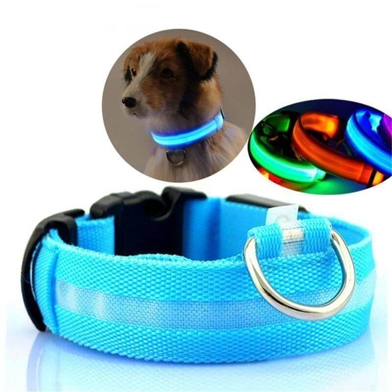 LED Halsband