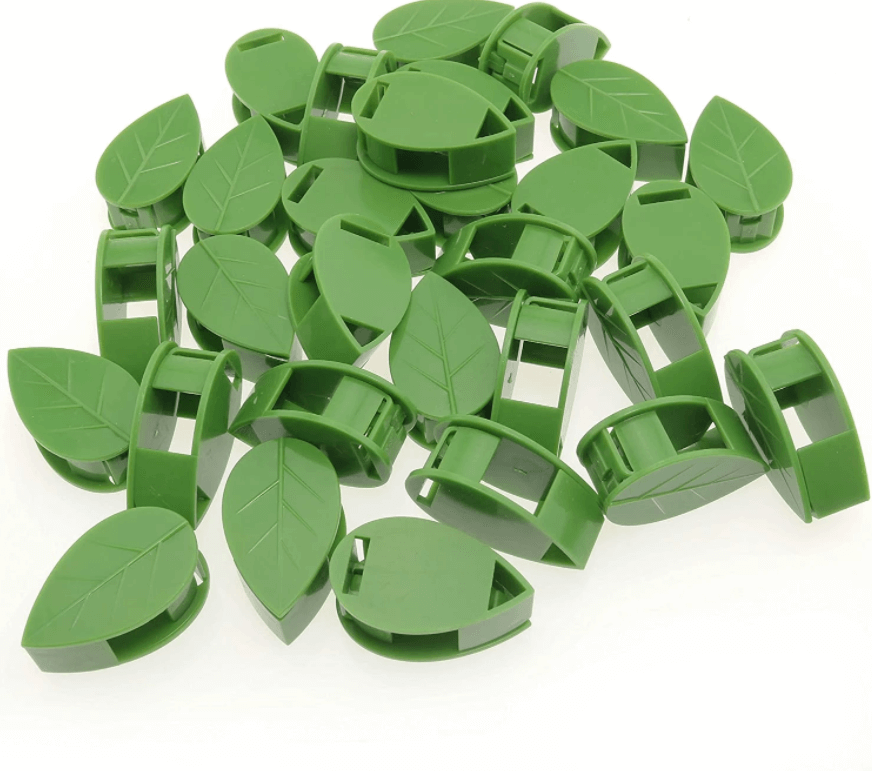 Plant Klimmend Voorwerp Bevestigingsclip