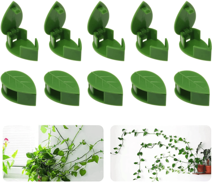 Plant Klimmend Voorwerp Bevestigingsclip