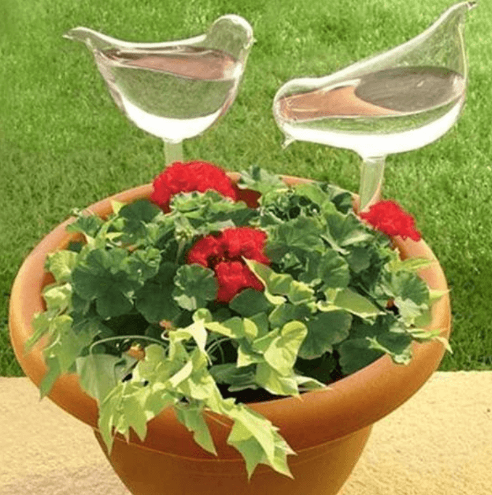 Zelf-drenkende Plantenbol