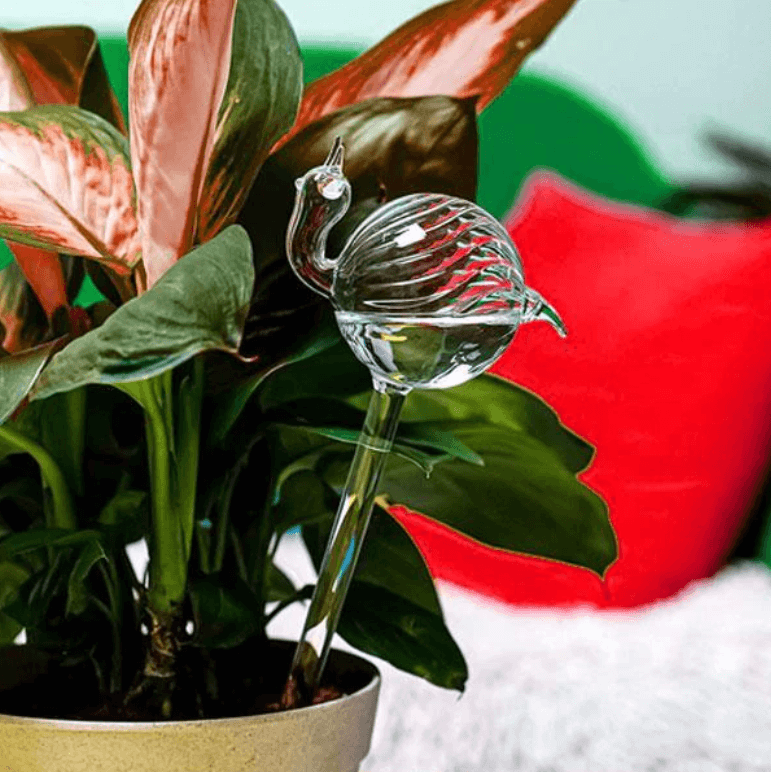 Zelf-drenkende Plantenbol