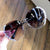 Randloze Rhinestone Zonnebril