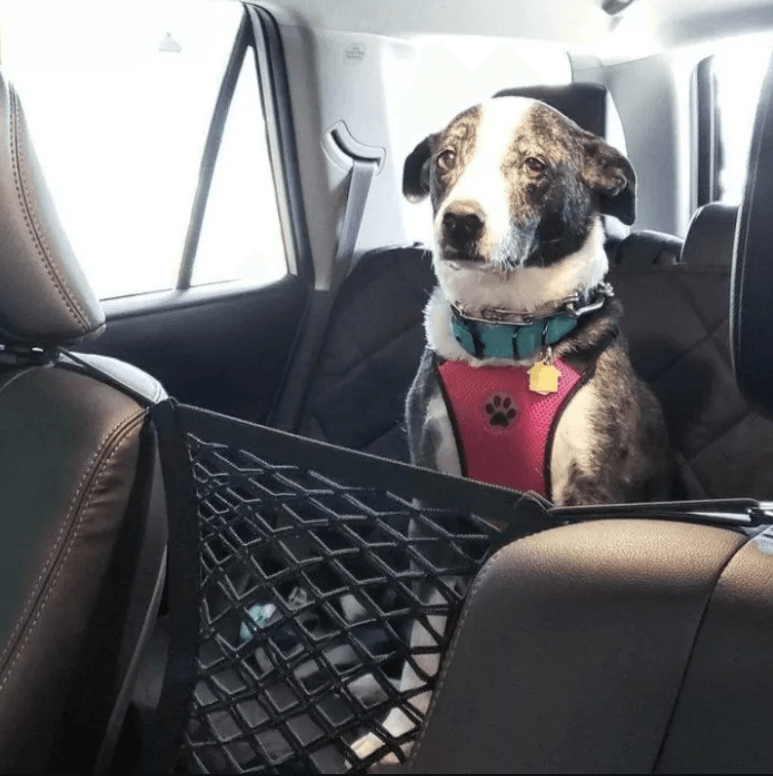 Opbergnet voor de kofferbak