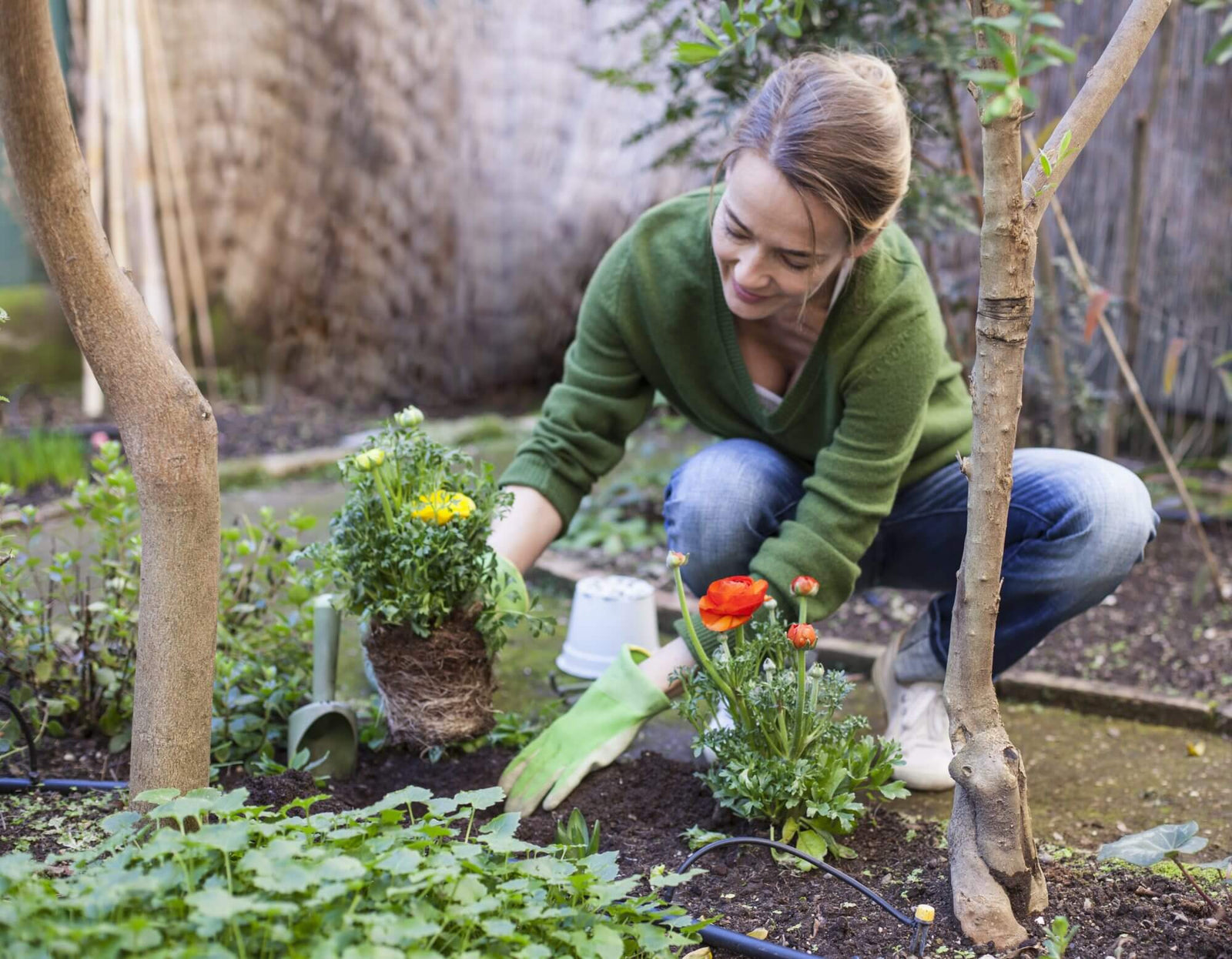 Oplossing voor plantenvoedingsmiddelen